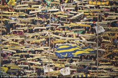 Parma have an illustrious history, but the club are in dire straits financially and could go out of business