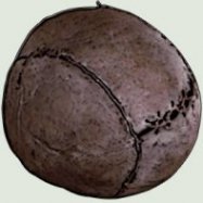 This ball, made of a pig bladder wrapped in leather, is the oldest football ball to still exist and is estimated to be 450 years old