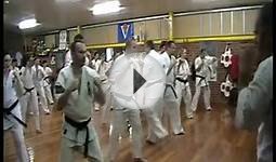 Kyokushin World Cup 2010 Spain - Australian Team Promo